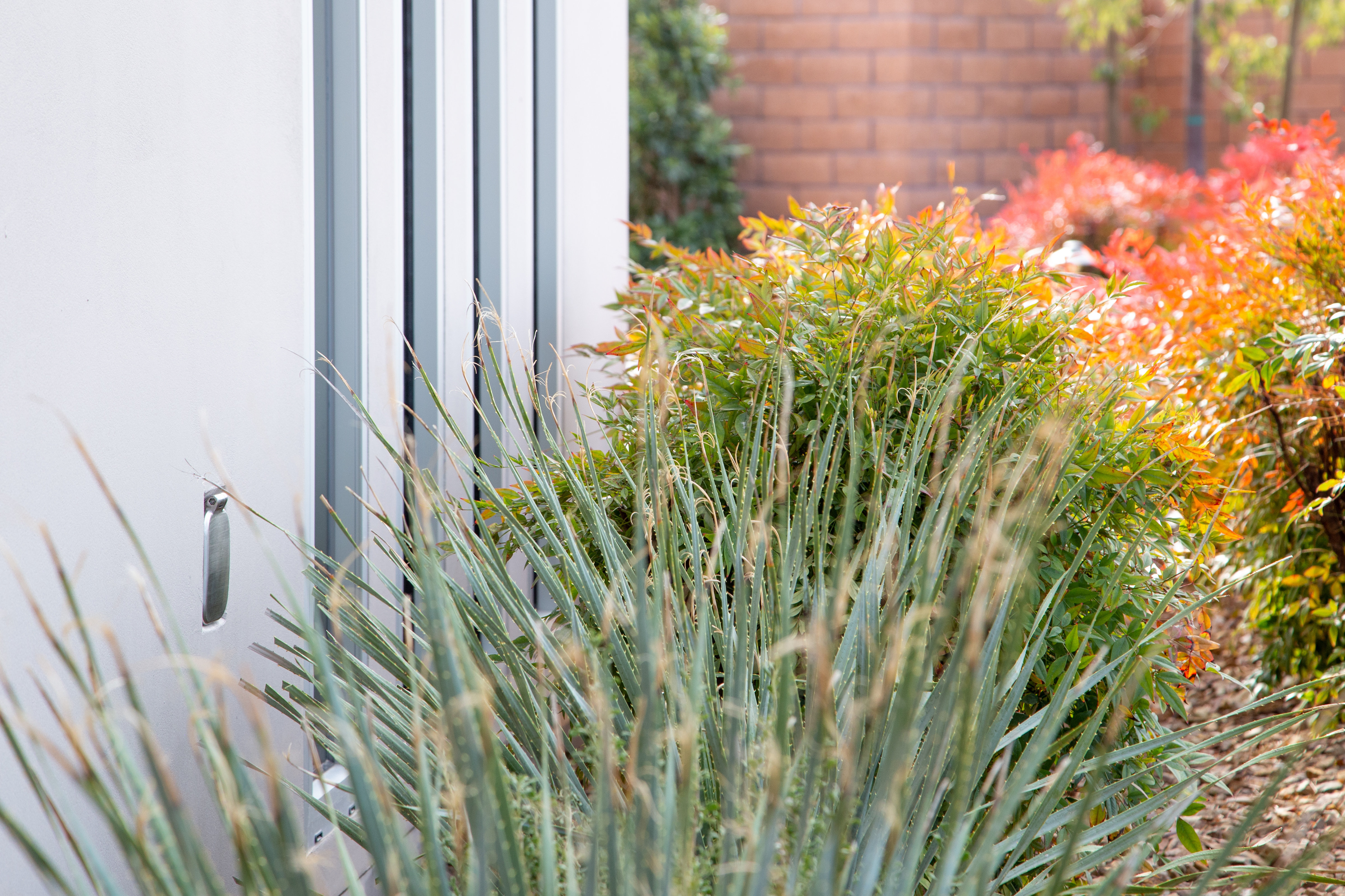 Aquor House Hydrant V2+ Modern Hose Bib Garden