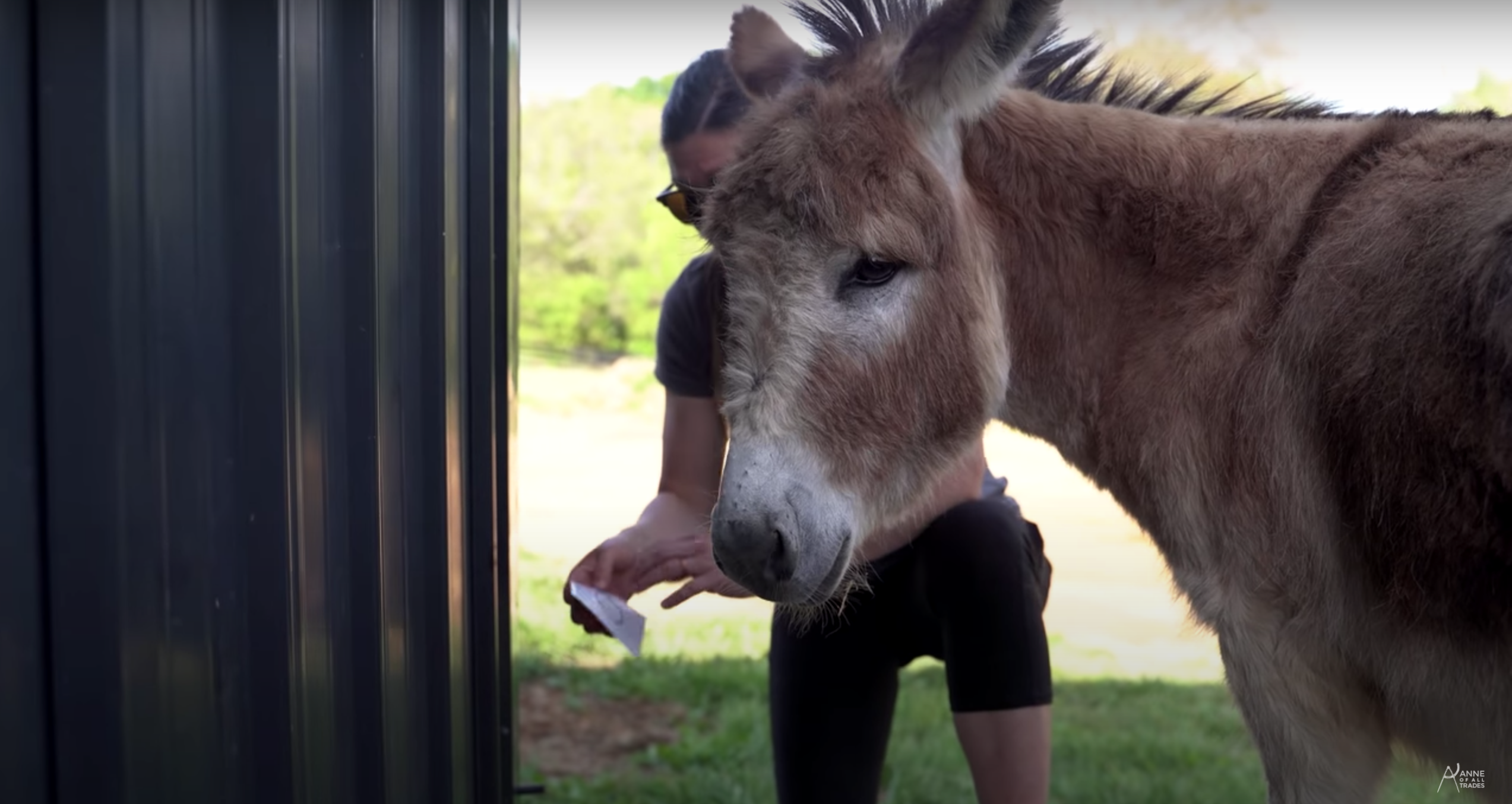 Farm Donkey Hose Bib