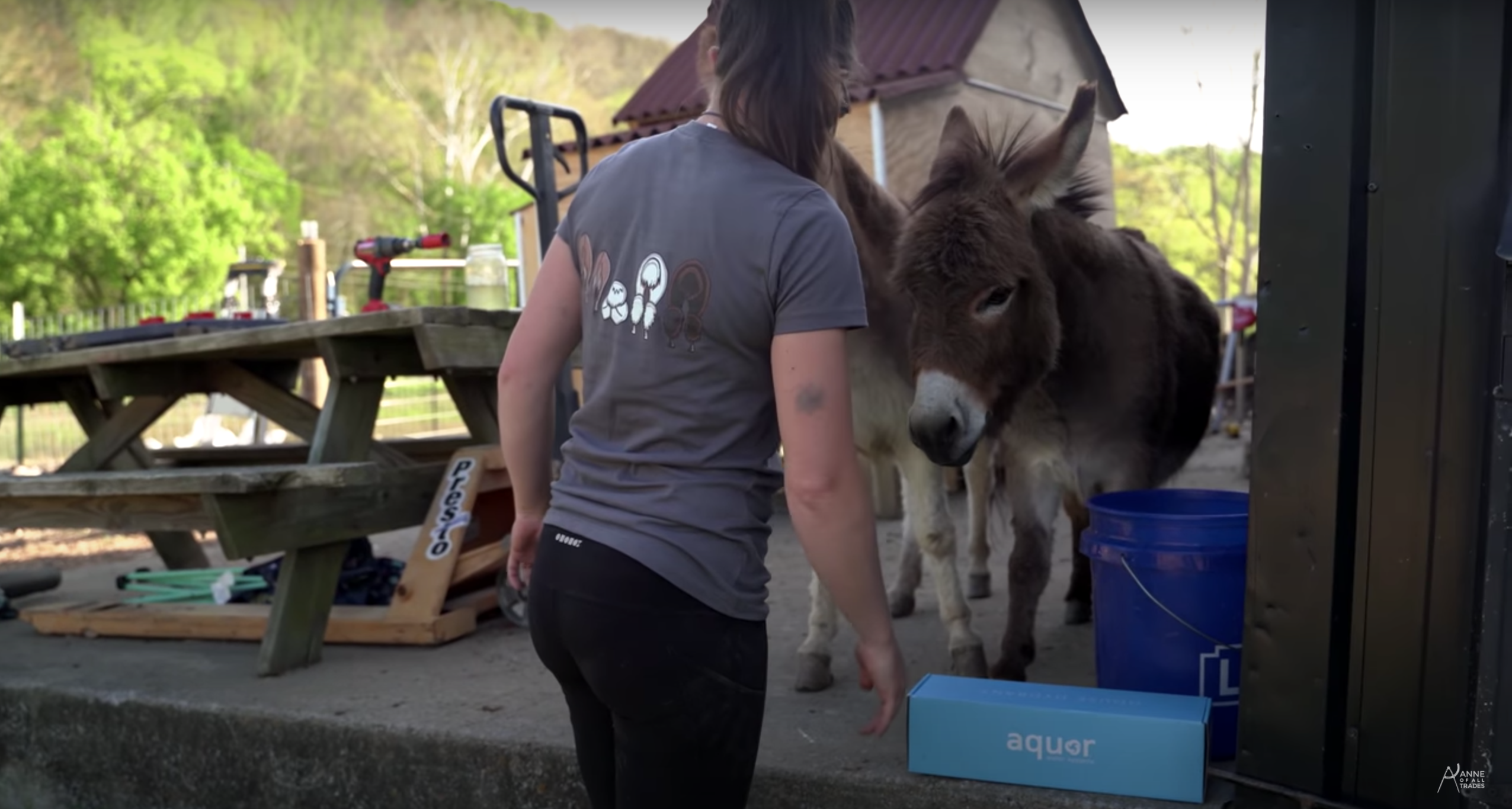 Farm Donkeys Hose Bib Water
