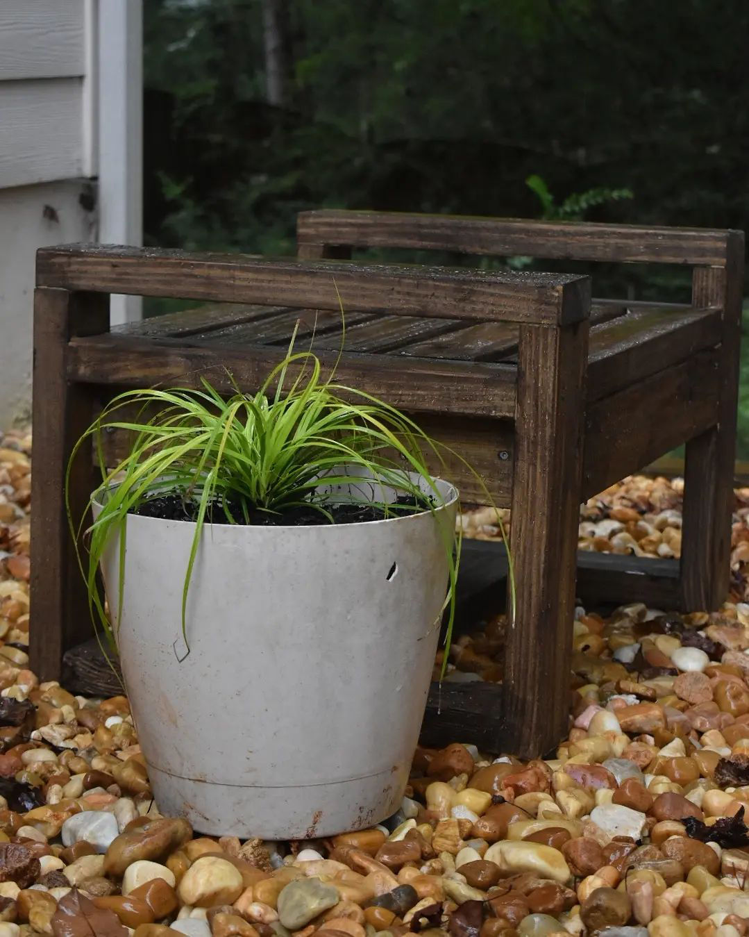 A potted plant and a place to sit.