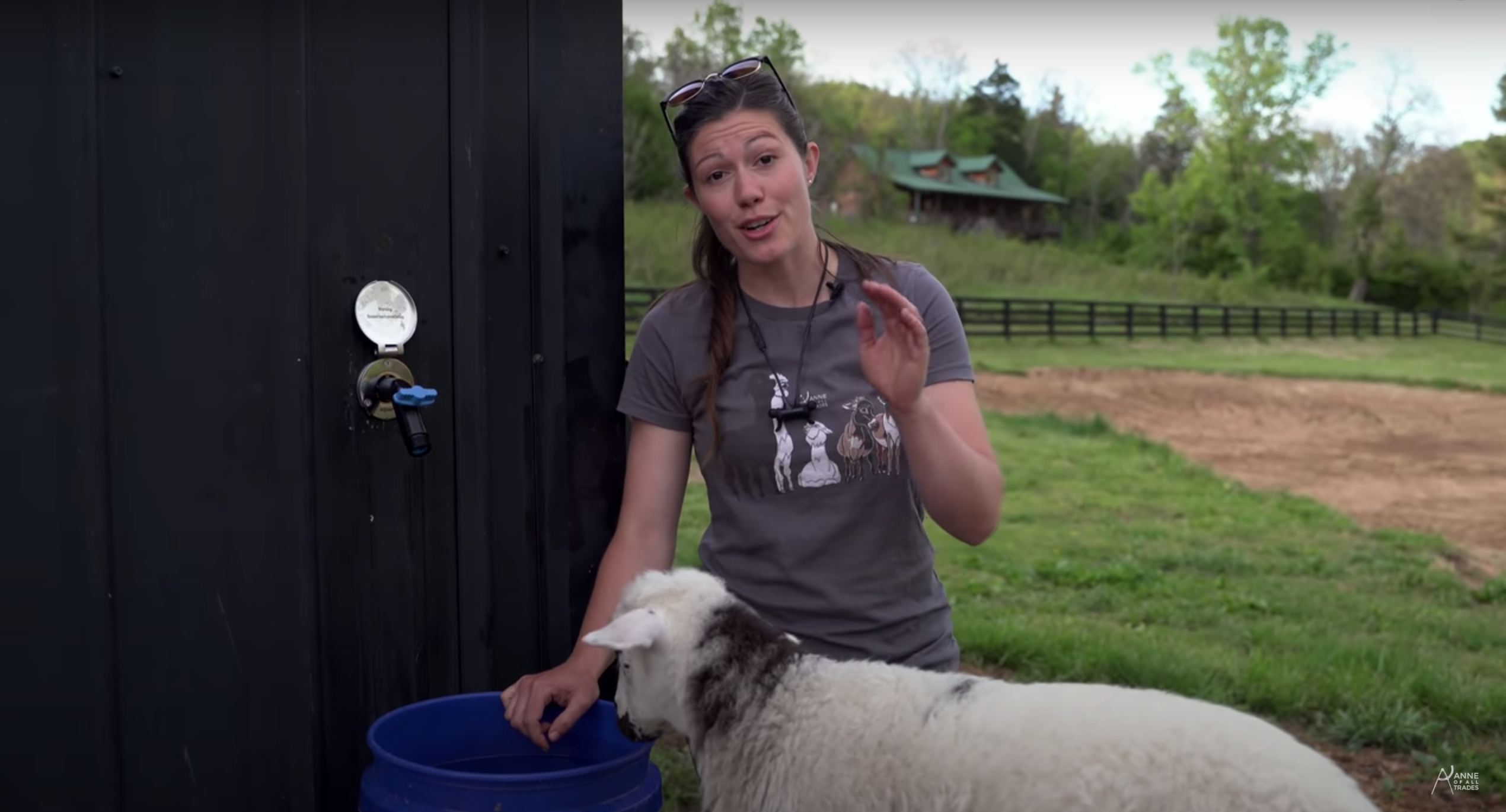 Farm Sheep Hose Bib Water